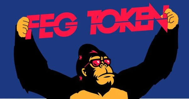 Is the FEG crypto a good investment? -