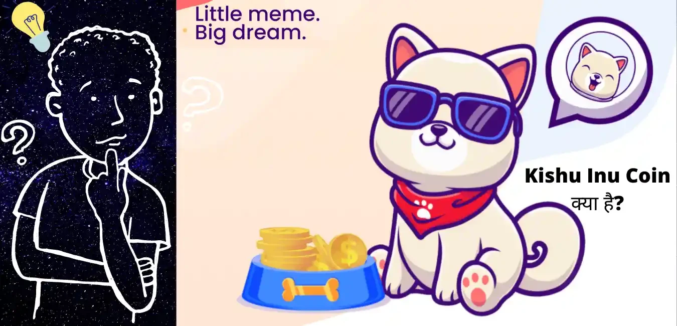 What is Kishu Inu coin?