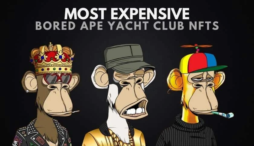 The 10 Most Expensive BAYC Bored Ape Yacht Club NFTs (2022)