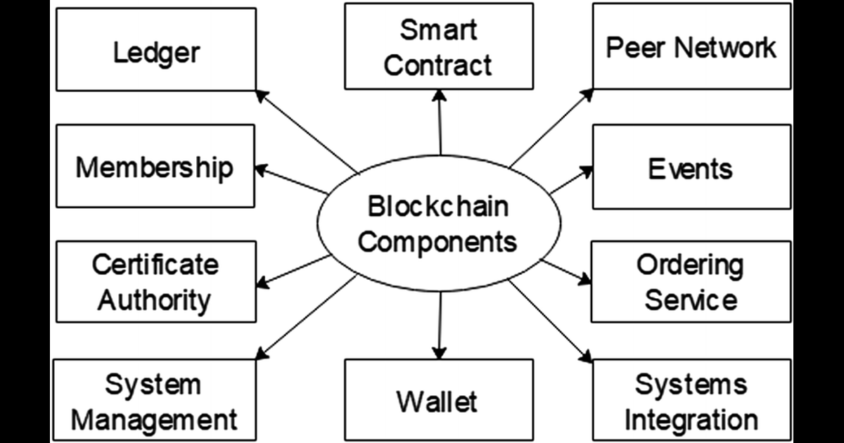 Components in the Blockchain Ecosystem