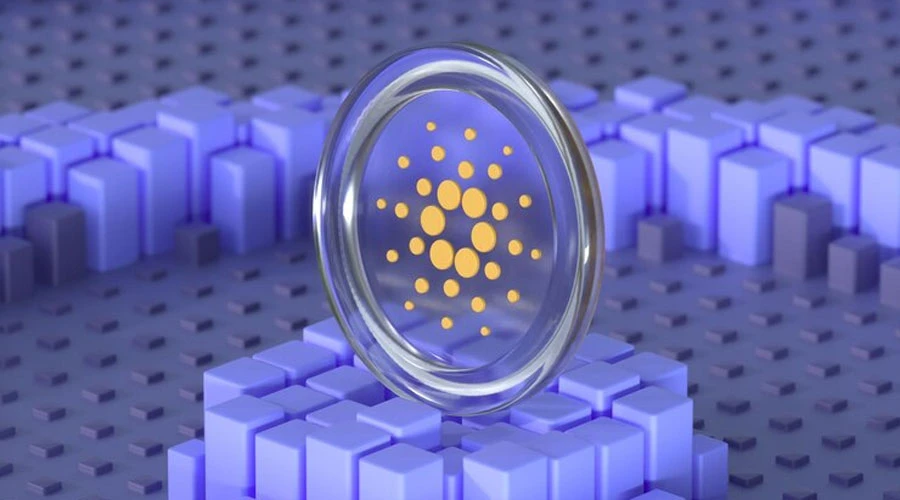 Cardano