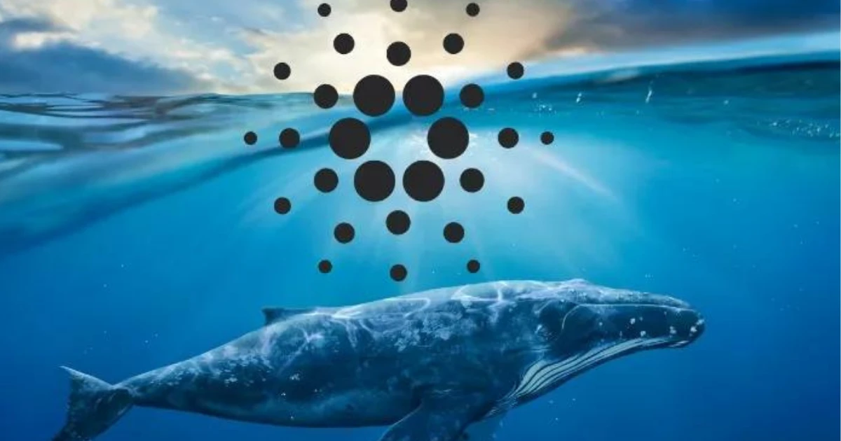 ADA-cardano-whale