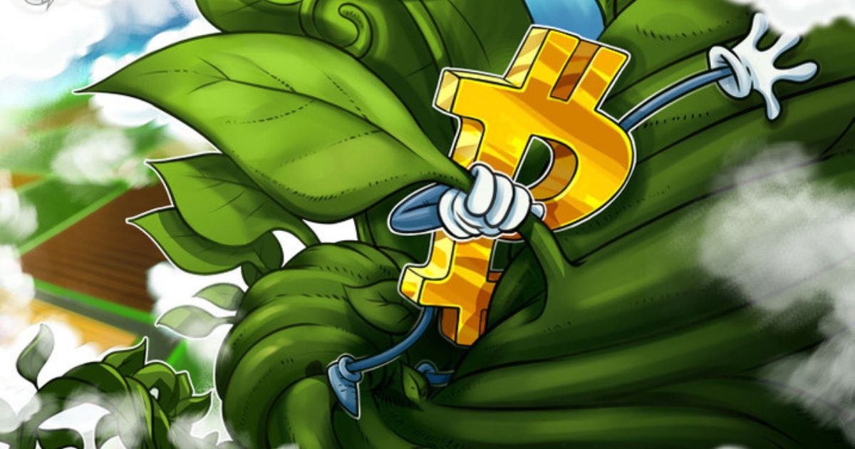 faint dollar lifts Bitcoin to $30.7K