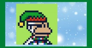 A Complete Guide About Winter Monkes NFT