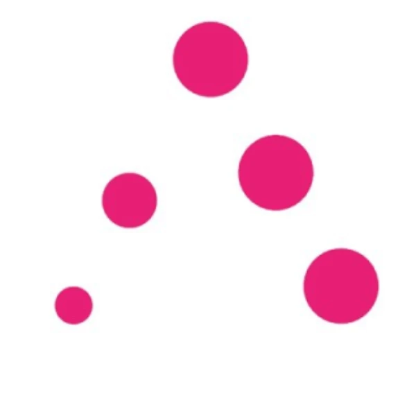 Ada Lite Wallet