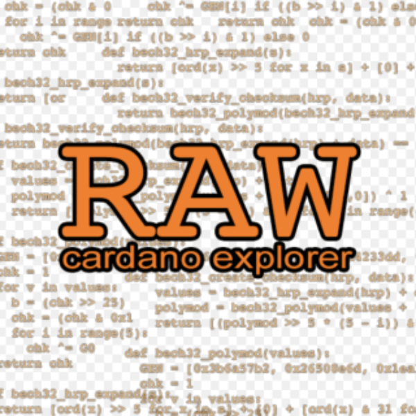 Raw Cardano Explorer